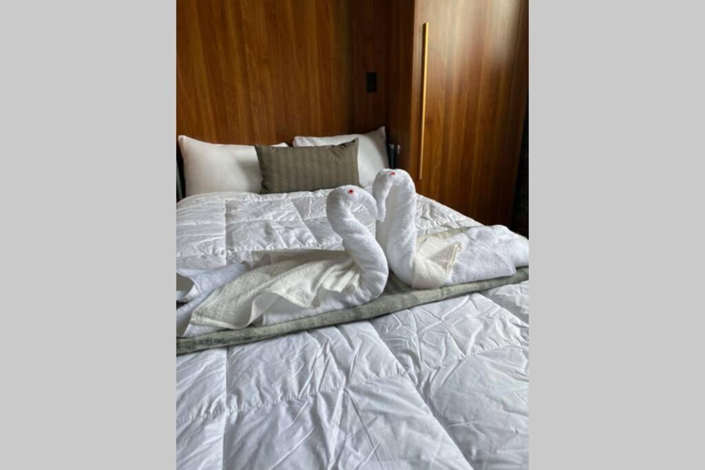 3E-Cozy! Micro Apartment Minutes From Shadyside, Sleeps 1 Pittsburgh Ngoại thất bức ảnh